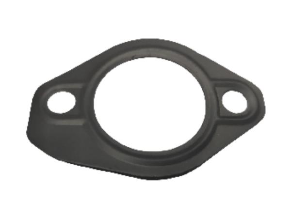 Seals_VE 2 hole gasket